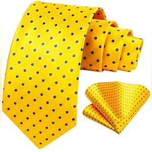 Mens tie and pocket square